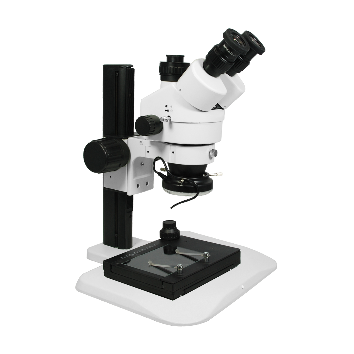 Stereo Microscope